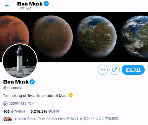特斯拉Model 3歐洲市場強勢領跑，馬斯克發聲彰顯品牌自信